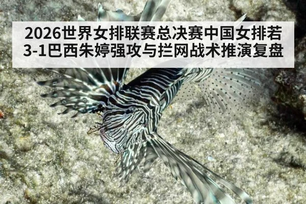 2026世界女排联赛总决赛中国女排若3-1巴西朱婷强攻与拦网战术推演复盘