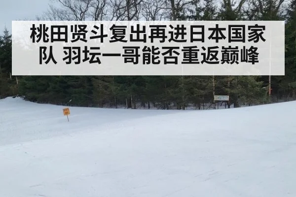 桃田贤斗复出再进日本国家队 羽坛一哥能否重返巅峰